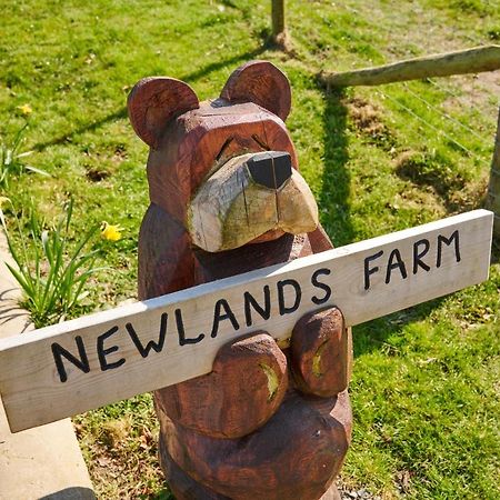 Newlands Farm Stables Villa Kendal Eksteriør billede