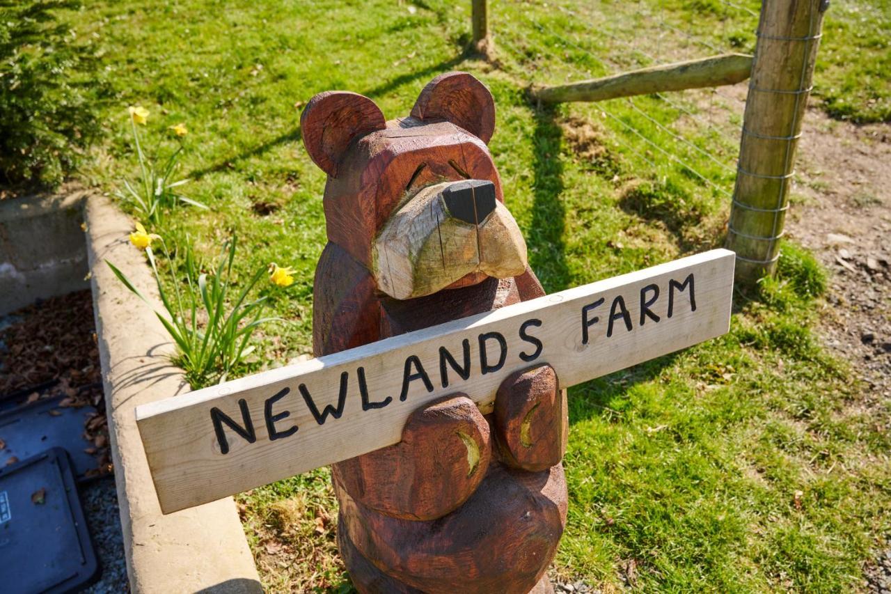 Newlands Farm Stables Villa Kendal Eksteriør billede